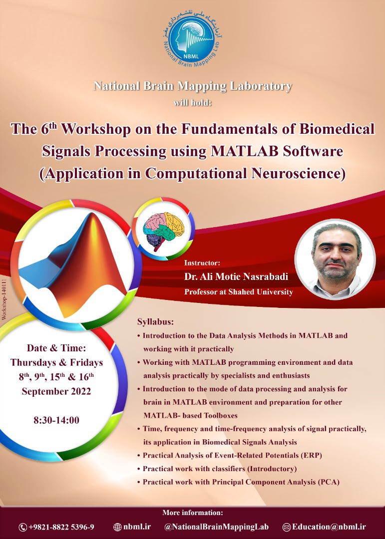 The 6th Workshop on the Fundamentals of Biomedical Signals Processing using MATLAB Software (Application in Computational Neuroscience)